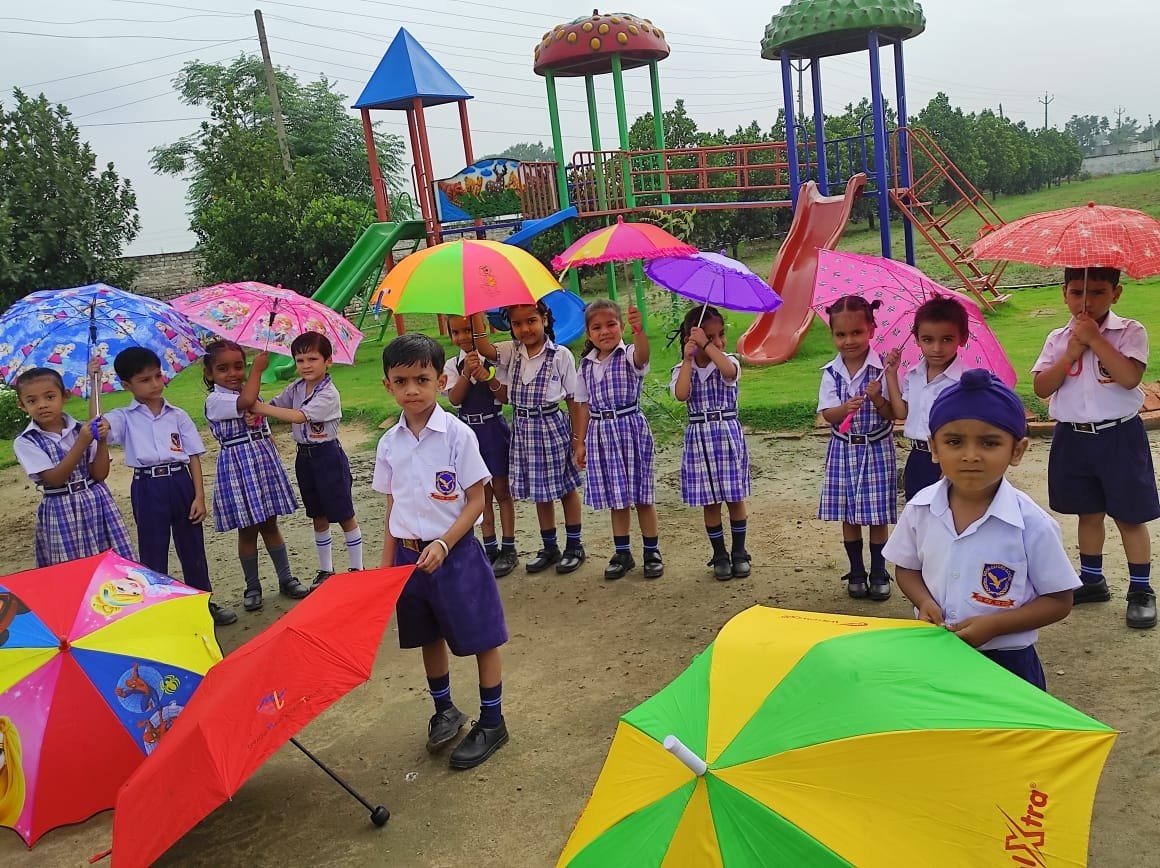 Monsoon showers